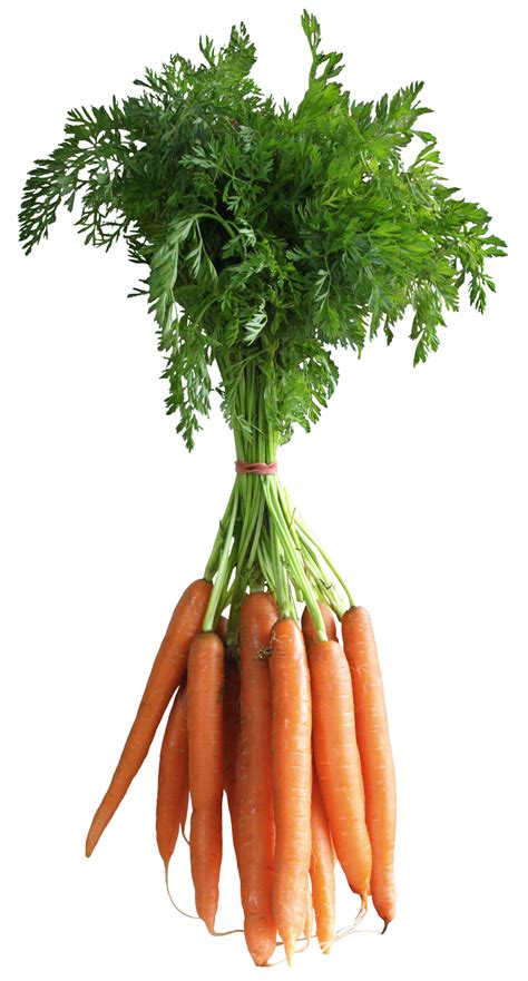 Carrot Vegetable Clipart 20 Free Cliparts Download