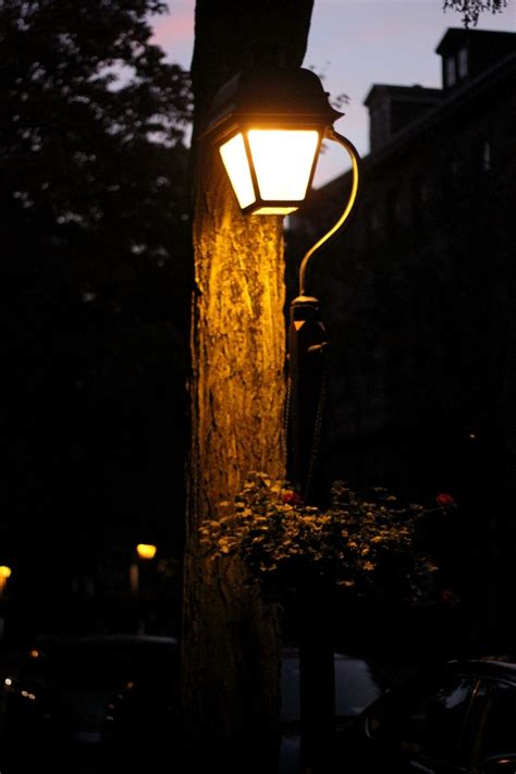 street lamp on tumblr