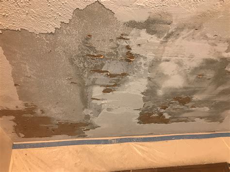Sheetrock comes in several thicknesses. So I Suck at Removing Popcorn Ceiling - Home Improvement Forum