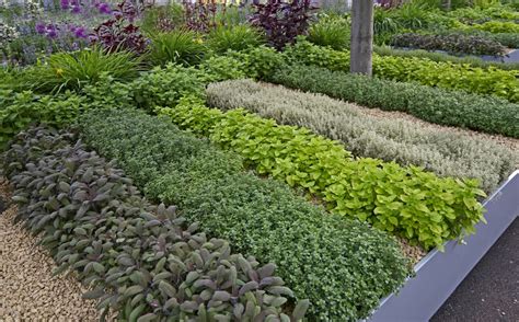 Designing Herb Gardens Attractive And Efficient