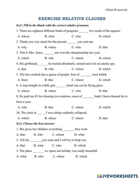 Relative Clause Online Practice Live Worksheets