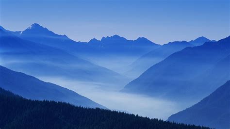 Nature Mountain Forest Landscape Fog Ultrahd 4k Free