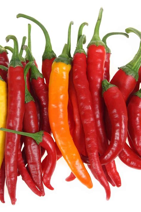 chili pepper types a list of chili peppers and their heat levels chili pepper madness