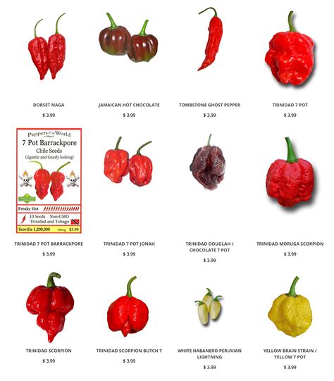 Check out our HOTTEST pepper seeds! www.sandiaseed.com/collections/hottest-pepper-seeds 