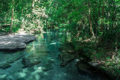 hidden treasure of florida rock springs crystal clear 68 degrees years round spring fed river