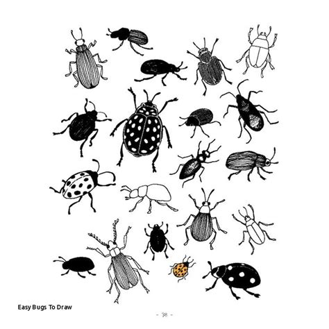 Simple Insect Drawings At Explore Collection Of