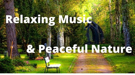 Relaxing Music And Peaceful Nature Nature Mrk Youtube
