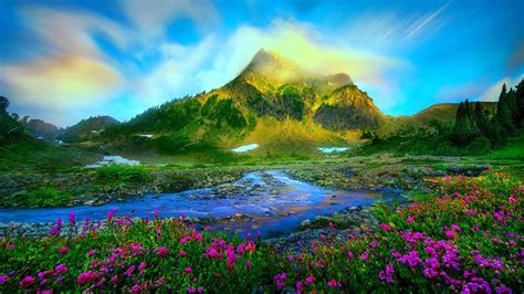 77 Nature Wallpapers Hd On Wallpapersafari