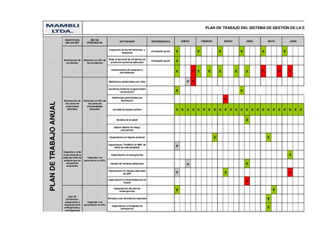 Formato Plan De Trabajo Ejemplo Excel Verista