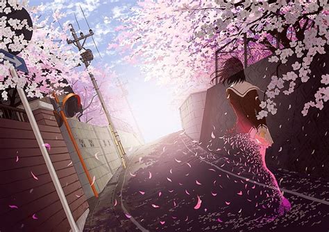 Hd Wallpaper Anime Girls Cherry Blossom School Uniform Wallpaper Flare