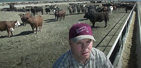 Rancher Gets 11 Year Sentence For 244M Ghost Cattle Fraud AGDAILY