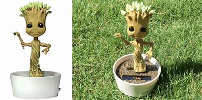 Groot Dancing Toys Tired Nope Animated Yet