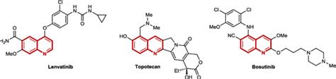 Quinoline Containing Anticancer Drugs Download Scientific Diagram