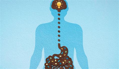 How The Gut Brain Axis Affects Mood And Behavior The Connection Between The Gut And Brain