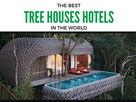 Top 6 Amazing Tree House Hotels That Will Make Youfall From The Tree