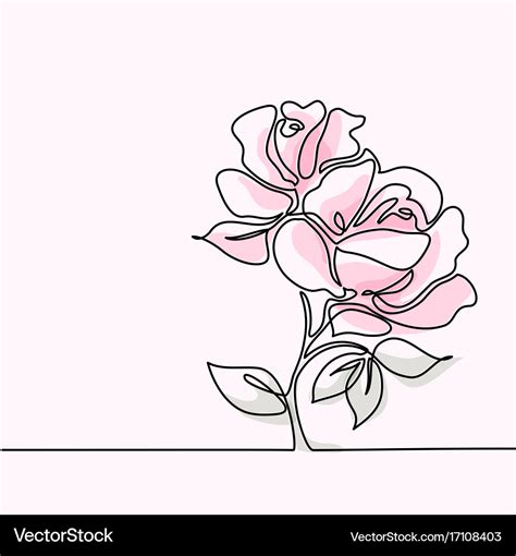 Drawing Of Beautiful Pink Rose Flower Royalty Free Vector