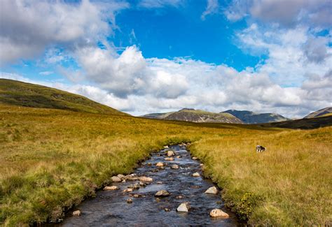 10 Things To Do In The Lake District National Park Hawthorns Park