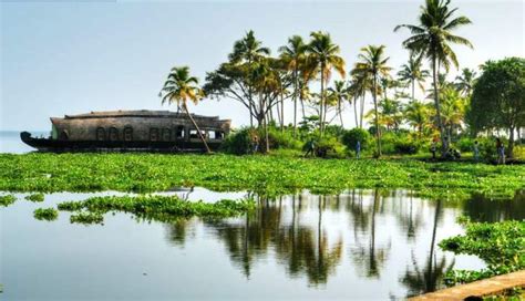 20 Amazing Things To Do In Kerala In 2018traveltriangle