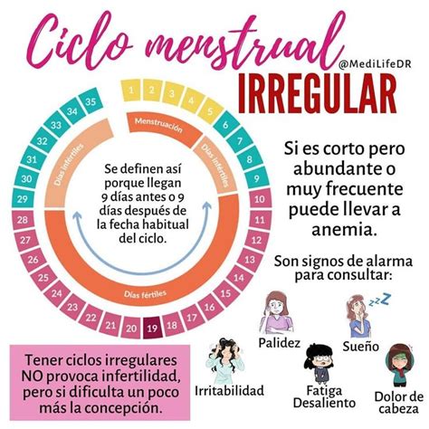 Pin De Andrea Otero En Aparato Reproductor Ciclo Menstrual