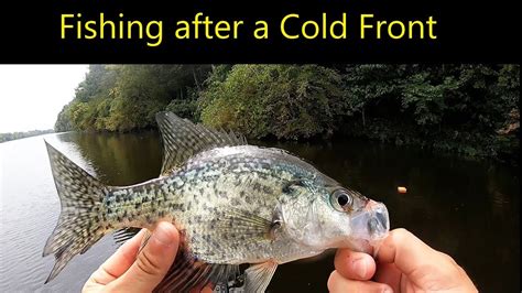 Fishing After A Cold Front Youtube