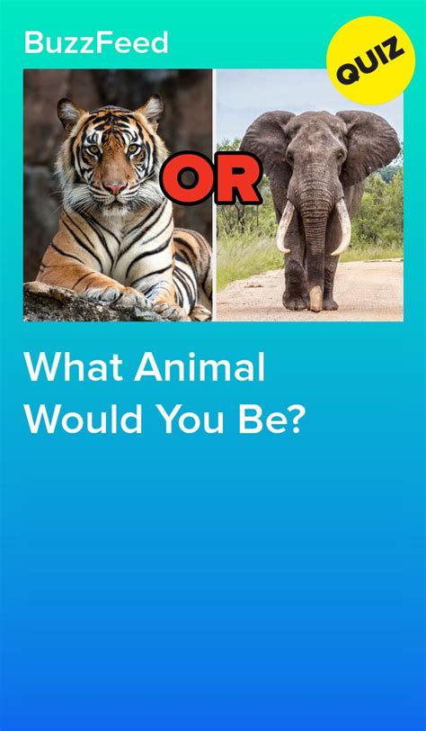 What Animal Would You Be Animal Quiz Spirit Animal Quiz What