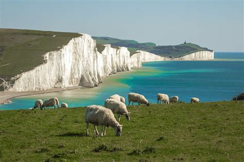 5 Of The Best South Downs Walks For Stunning Scenery Wired For Adventure