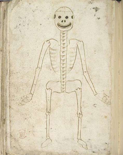 Weird Medieval Guys On Twitter Skeleton England 15th Century