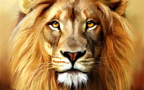Lion Full Hd Wallpaper And Background Image 2560x1600 Id179309