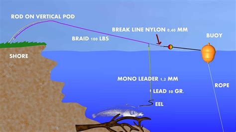 When you break up with someone, they are likely to have lots of questions for you. CATFISHING TUTORIAL: BREAK-LINE AND BUOY SYSTEM by CATFISH ...