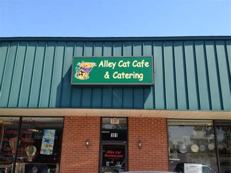 Alley Cat Cafe And Catering 38 Photos And 42 Reviews 11804 Shelbyville