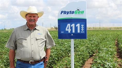 Phytogen Cottonseed Turns Heads With 2021 Ovt Performance Phytogen