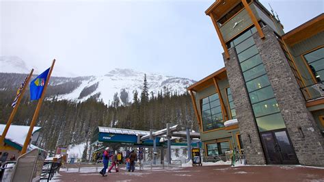 Sunshine Village Ski Resort Find Sunshine Village Banff Ski Deals