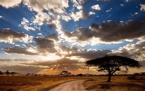 Cloudy Sky Serengeti Zanzibar Sunset