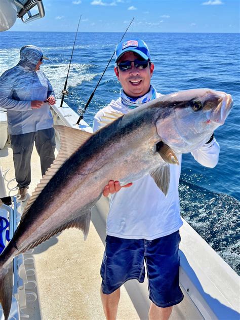 How To Catch Amberjack Tips For Fishing For Amberjack