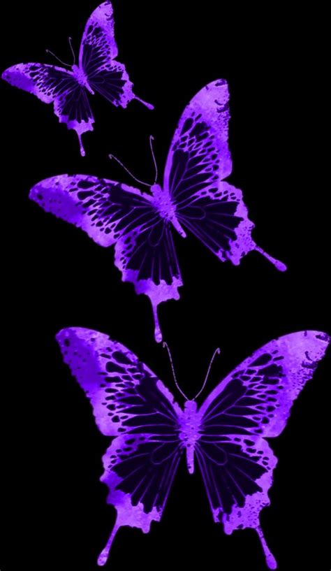 Pin By Lisa Rankin On Butterflies Purple Wall Art Purple Butterfly