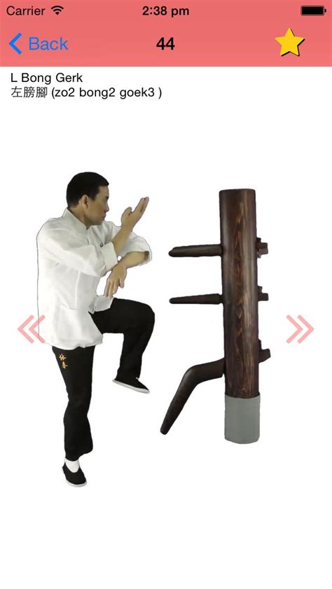 Wing Chun Defense Techniques Simple Self Defense