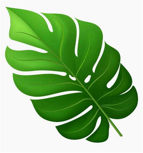 Tropical Leaf Png Clipart Transparent Png Kindpng