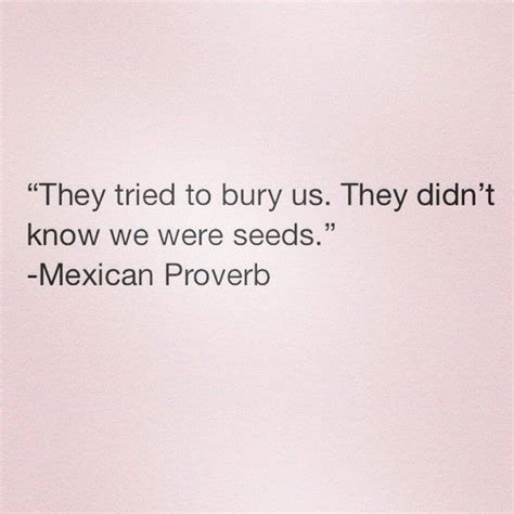 Mexican Proverb Imgur