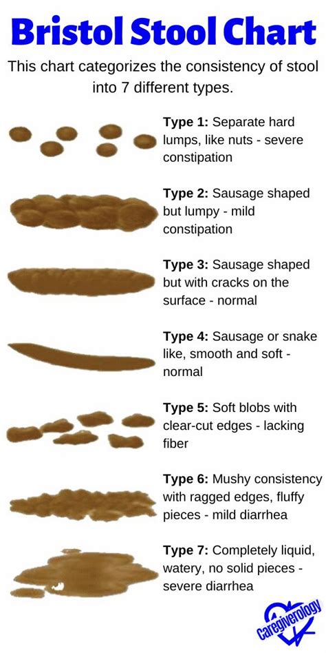 How To Describe Bowel Movement Nursing