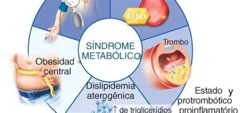Qué es el síndrome metabólico Federación Mexicana de Diabetes A C