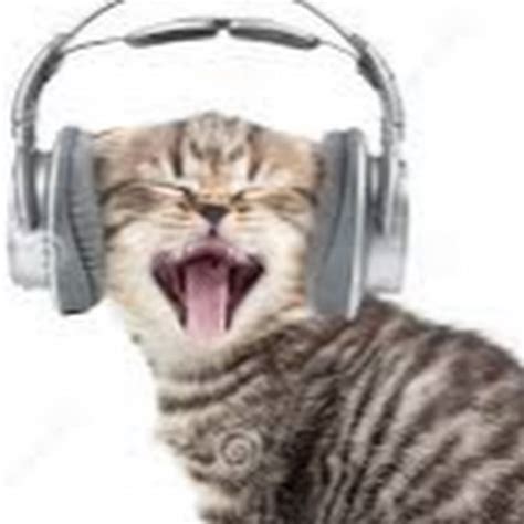 Music Cat YouTube