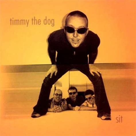 Timmy The Dog Sit 2001 Cdr Discogs