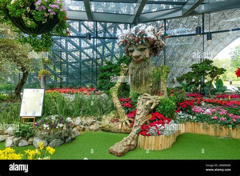 Floral Fantasy - campestre.al.gov.br