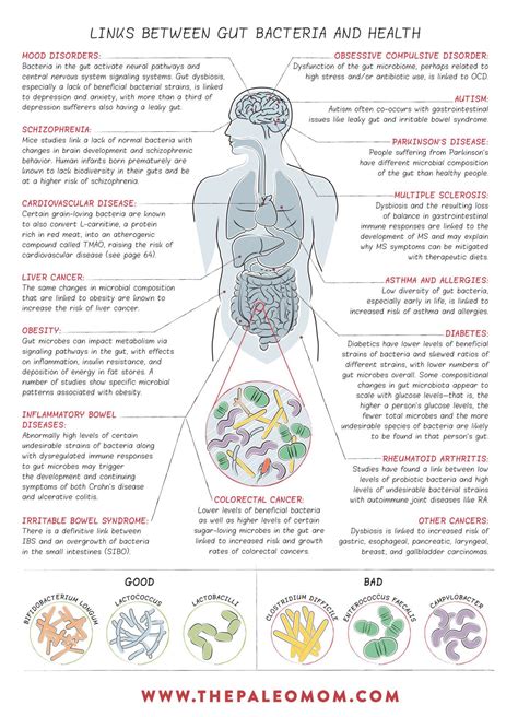 What Is The Gut Microbiome And Why Should We Care About It Find Out