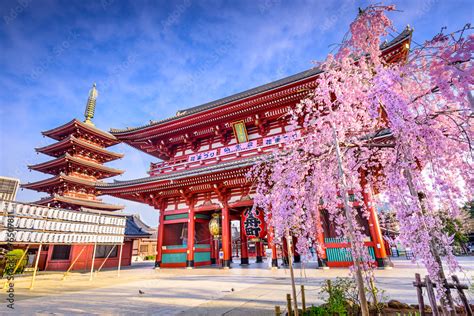 sensoji temple in asakusa tokyo japan foto de stock adobe stock