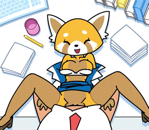 Rule 34 3 Aggressive Retsuko Animated Anthro Book