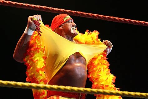 Wwe Cuts Ties With Hulk Hogan Following Rumored Racial Remarks