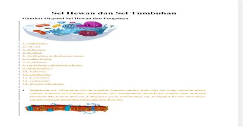 Tumbuhan mempunyai bagian tubuh layaknya seorang manusia. Gambar Sel Tumbuhan Beserta Bagian Bagiannya - Tempat ...