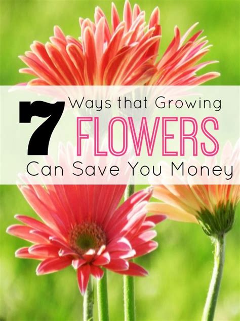7 Ways Growing Your Own Flowers Saves You Money Frugal Finds During