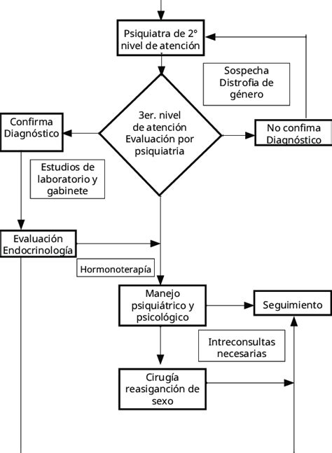 Flujograma para la atención de adultos con disforia de género Download Scientific Diagram